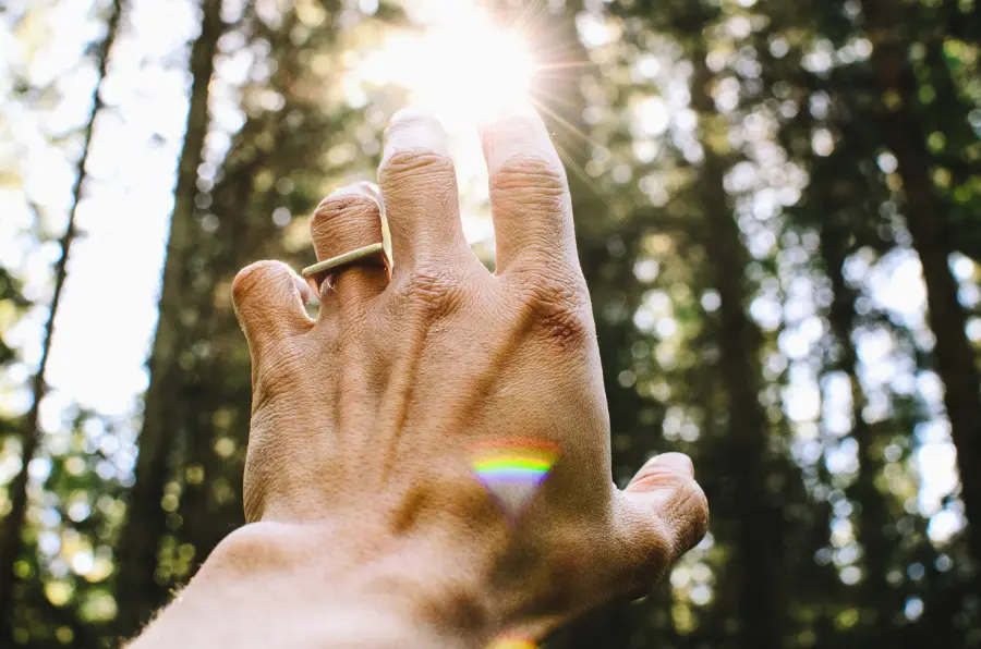 Shinrin-Yoku Meaning: Forest Bathing and Mindful Nature