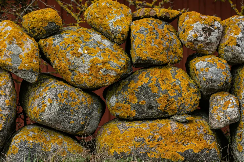 How to Create Contrast Using Texture, Not Color