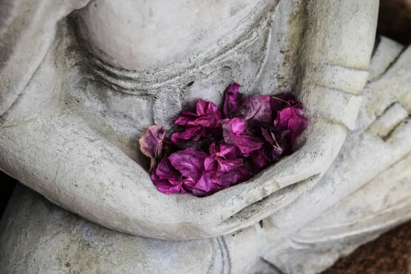 What Is Dharma? Meaning and Use in Buddhism