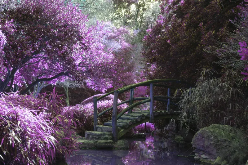 Zen Morning Rituals: Small Habits That Change Your Day
