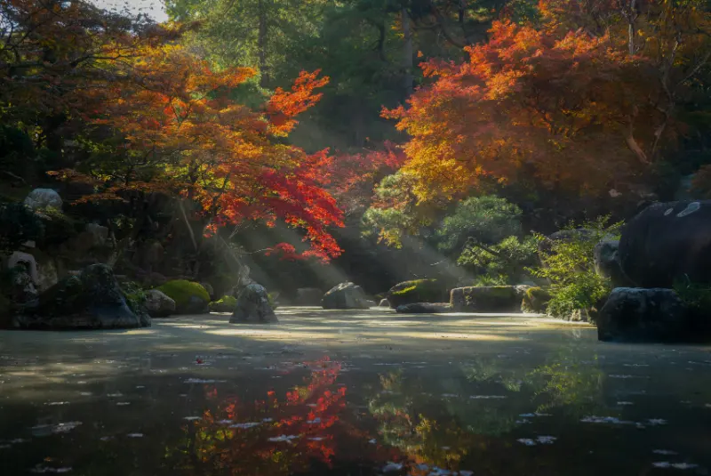 Mono no Aware and the Beauty of a Passing Moment