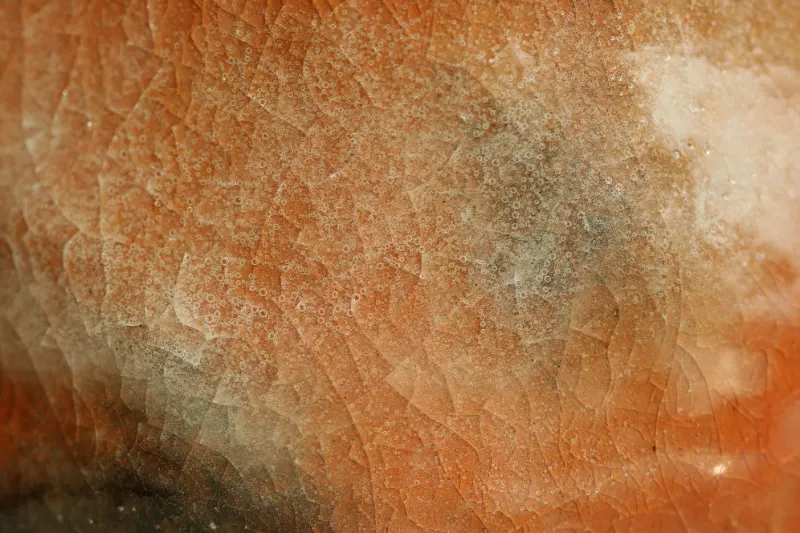 Impermanence: Why Everything Changes and How Home Can Help